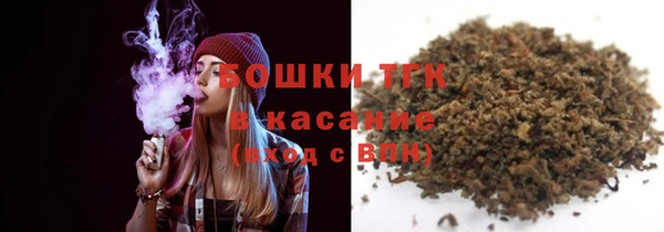 сатива Аркадак