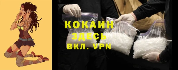 трава Арсеньев