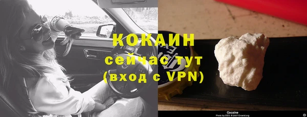 сатива Аркадак