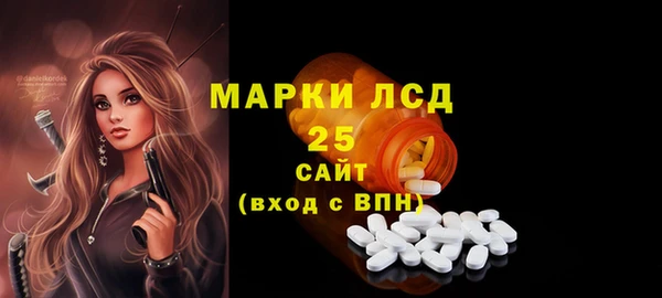 сатива Аркадак