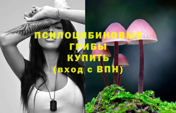mdpv Армянск