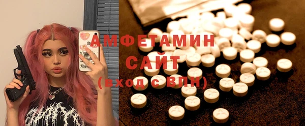 индика Магас