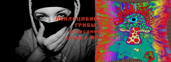 трава Арсеньев