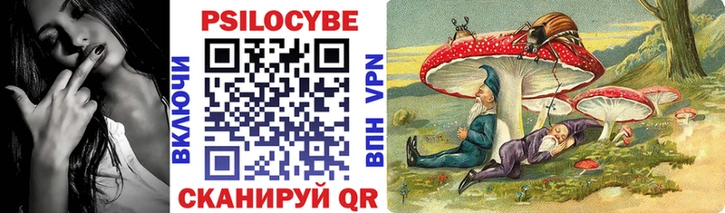 MEGA как войти  Черняховск  Псилоцибиновые грибы Magic Shrooms 